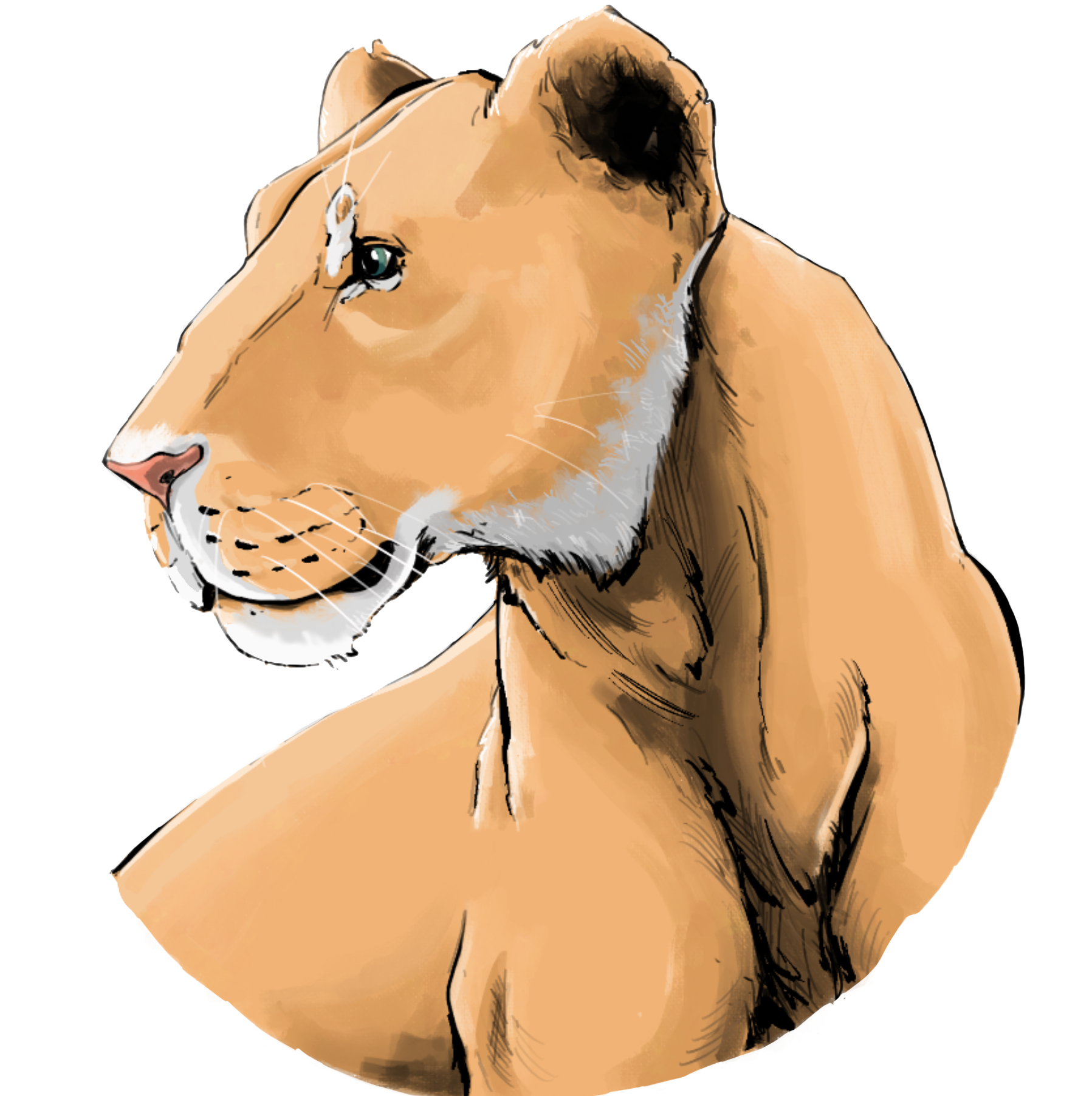 Exploring With Grace Foundation